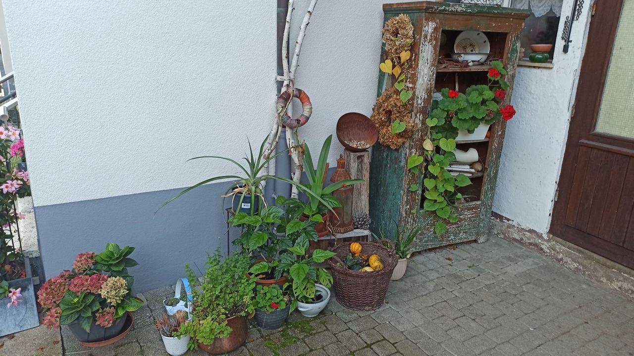 Photo of Outdoor in Pinzberg