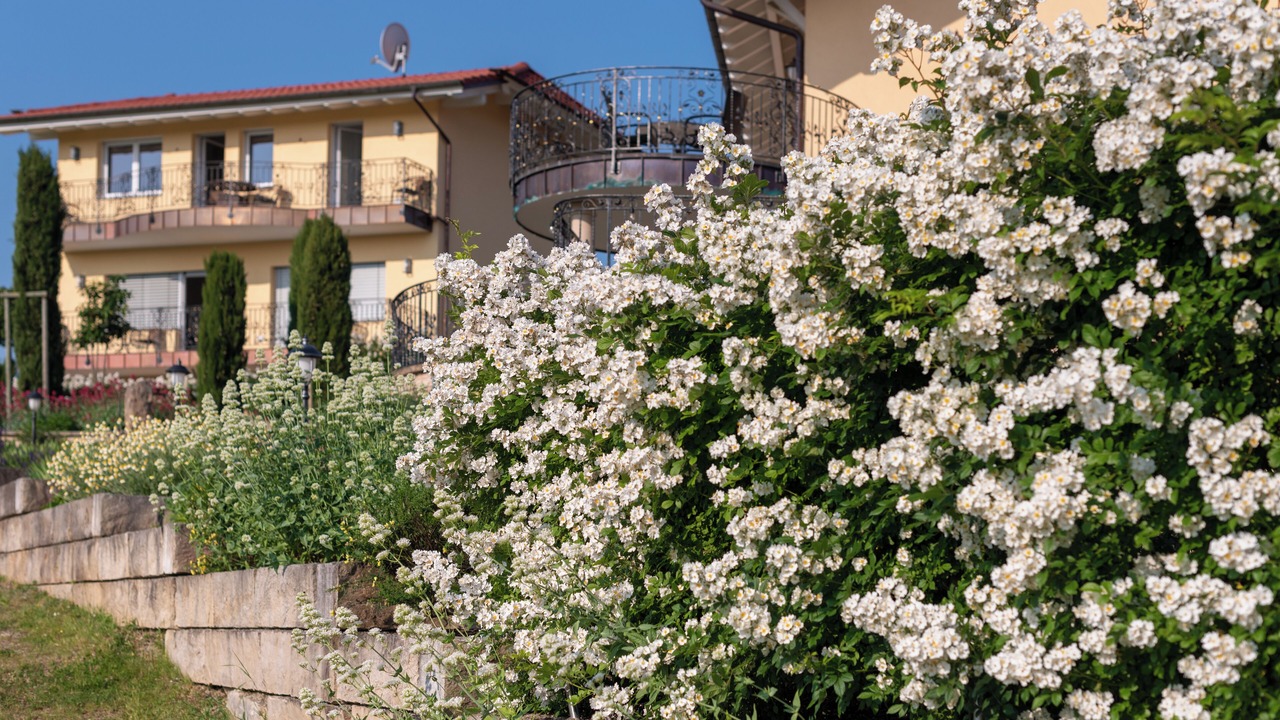 Photo of Outdoor in Klettgau