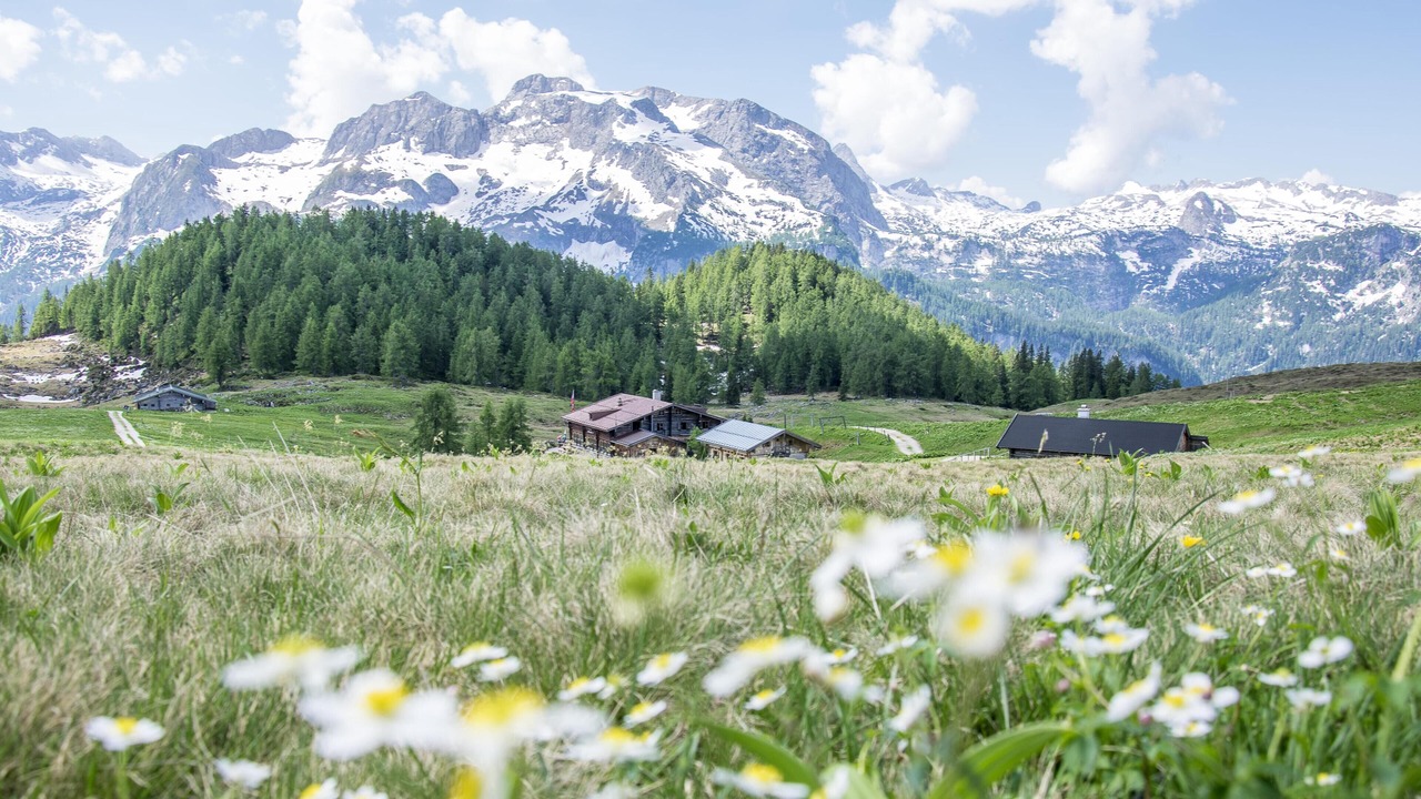 Photo of Outdoor in Stanggaß