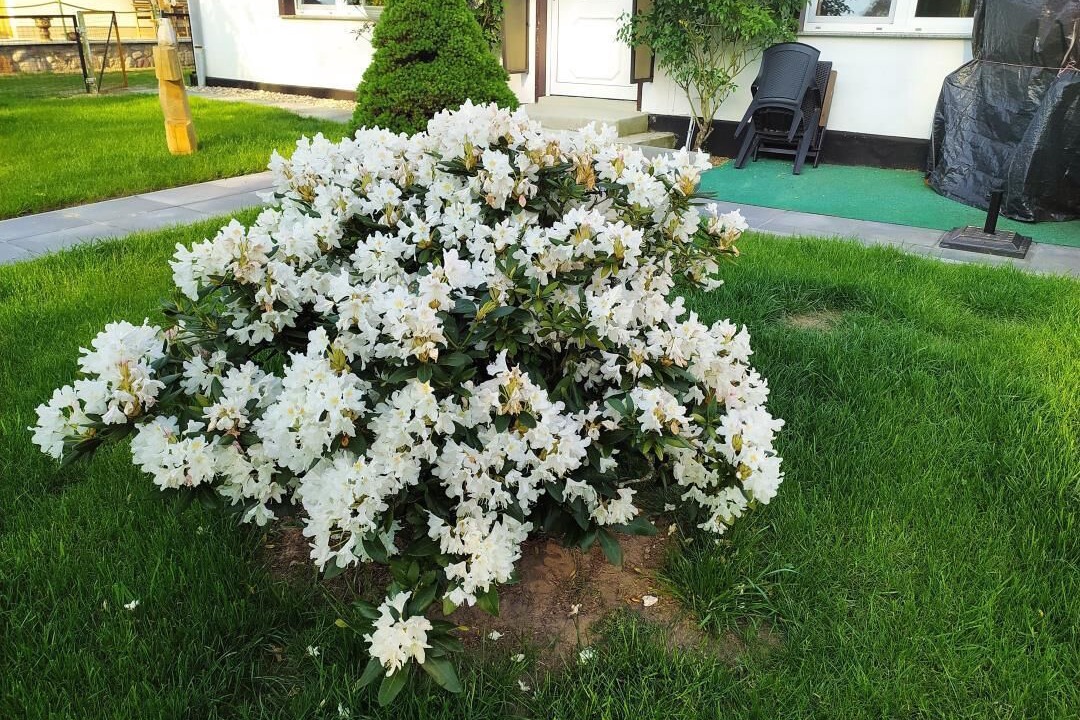 Photo of Outdoor in Dargen