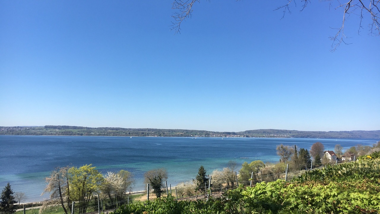 Photo of Others in Lindau