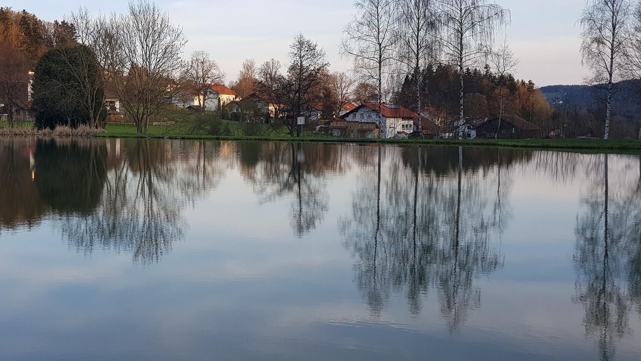 Photo of Others in Neuschoenau