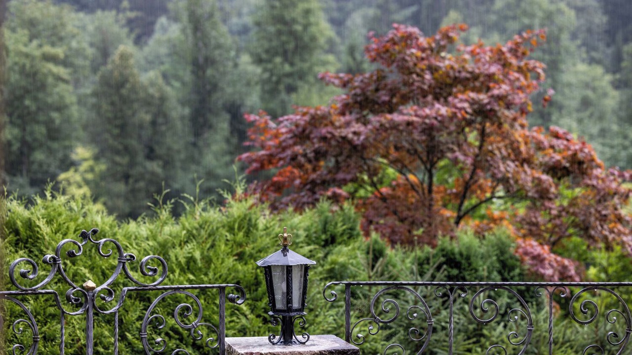 Photo of Outdoor in Engedey