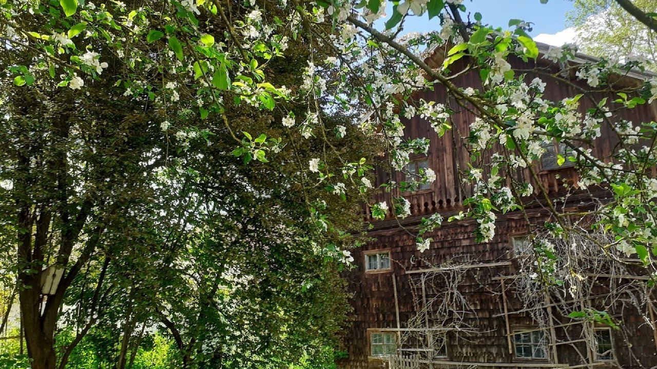 Photo of Outdoor in Johanniskirchen