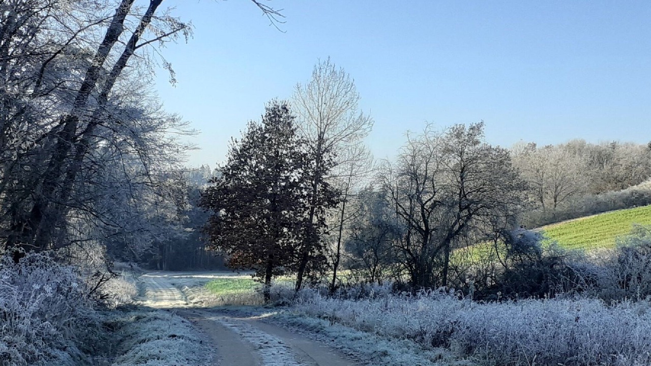 Photo of Outdoor in Johanniskirchen