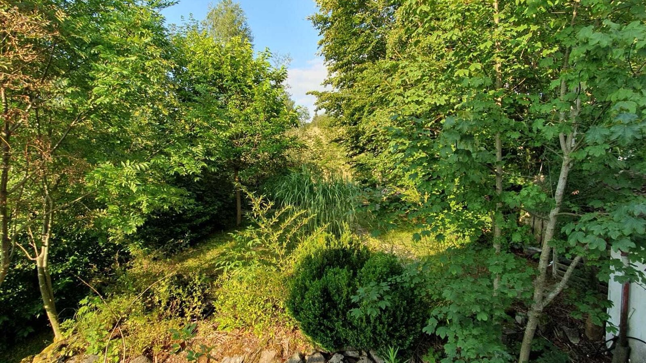 Photo of Outdoor in Oy-Mittelberg