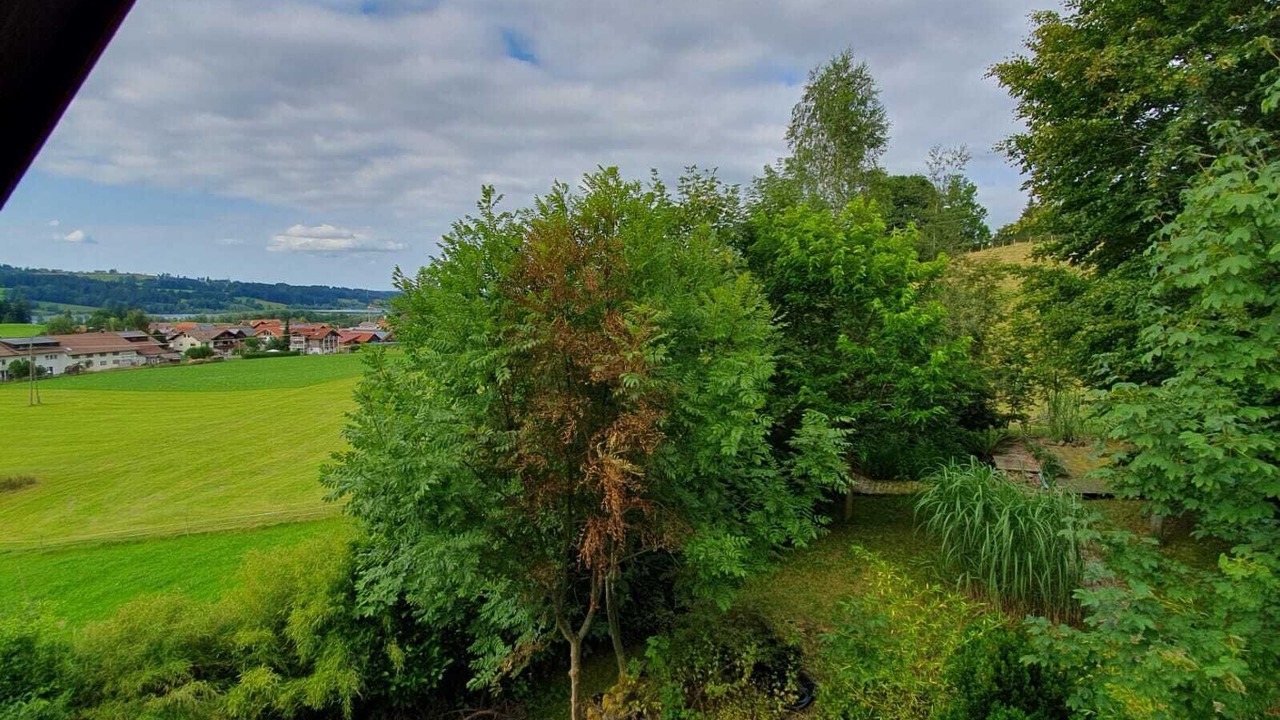 Photo of Outdoor in Oy-Mittelberg