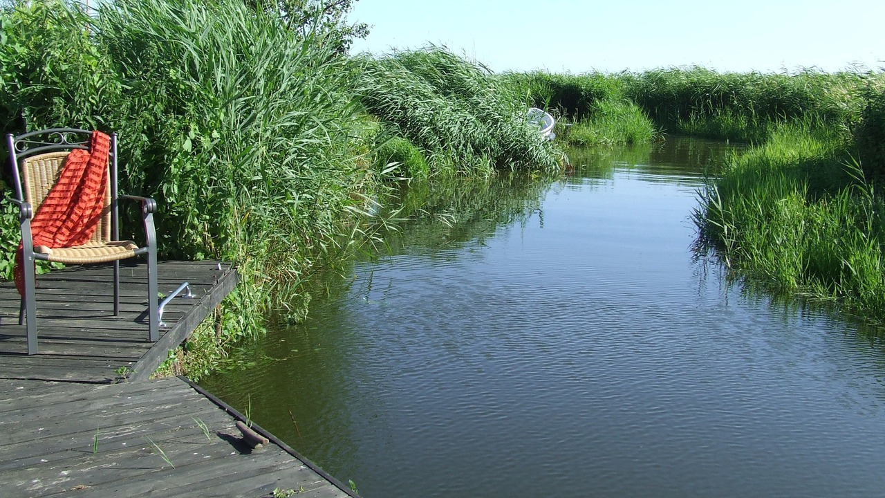 Photo of Outdoor in Balm