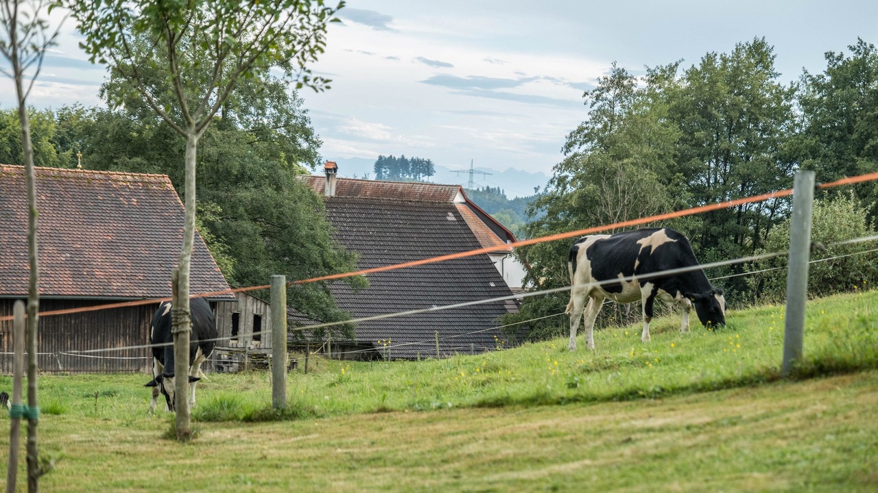 Photo of Others in Wangen im Allgaeu