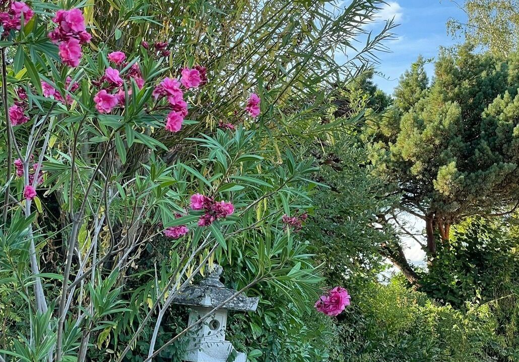 Photo of Outdoor in Lichtenfels