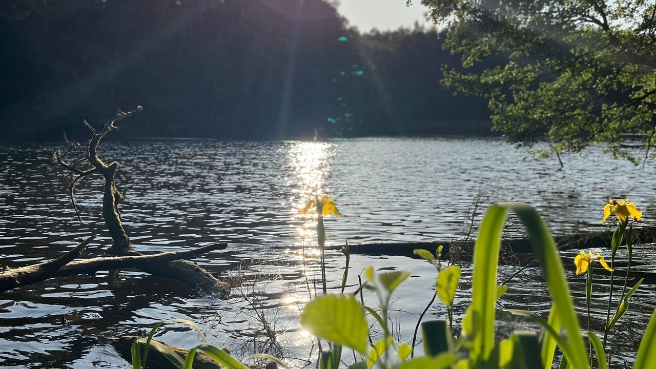 Photo of Outdoor in Dorfleins