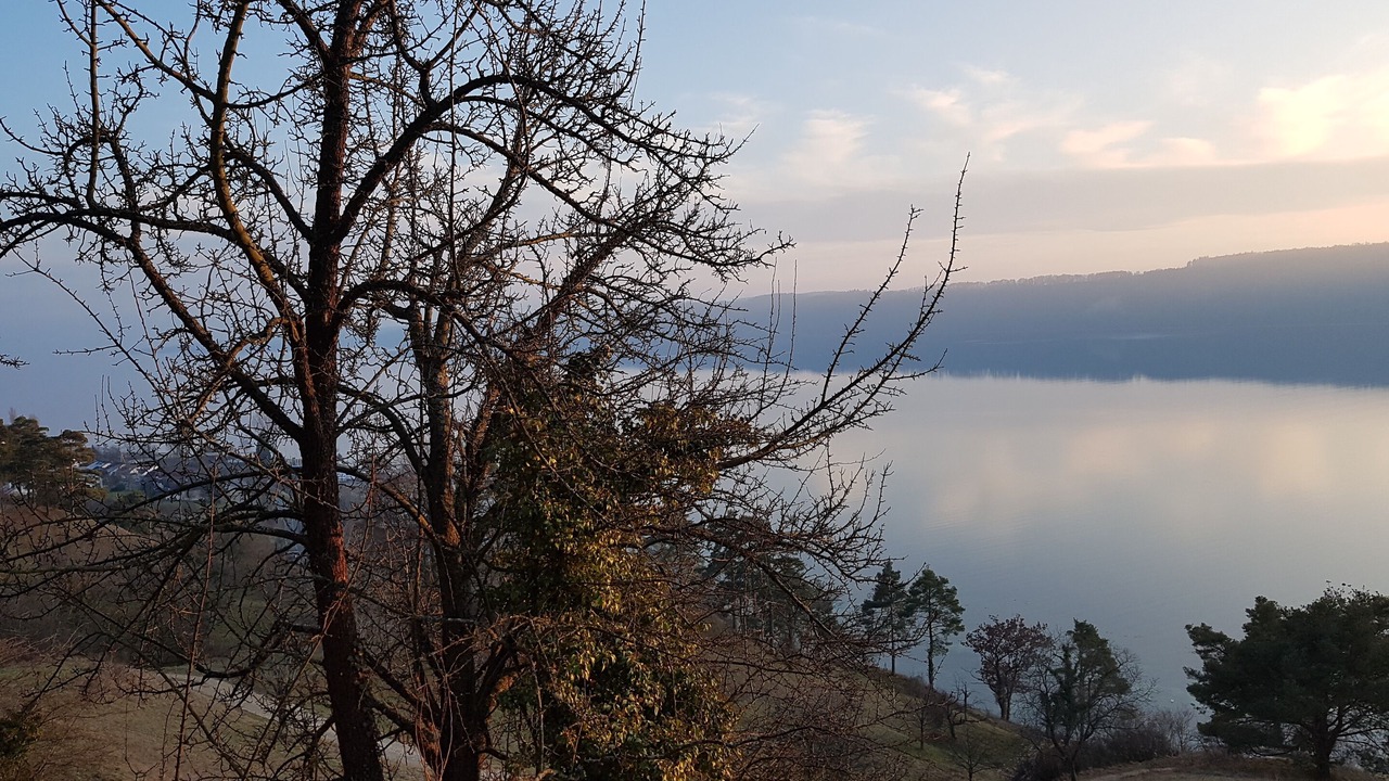 Photo of Outdoor in Ludwigshafen