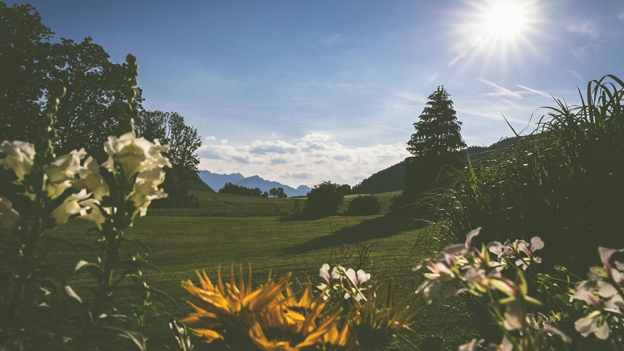 Photo of Outdoor in Samerberg