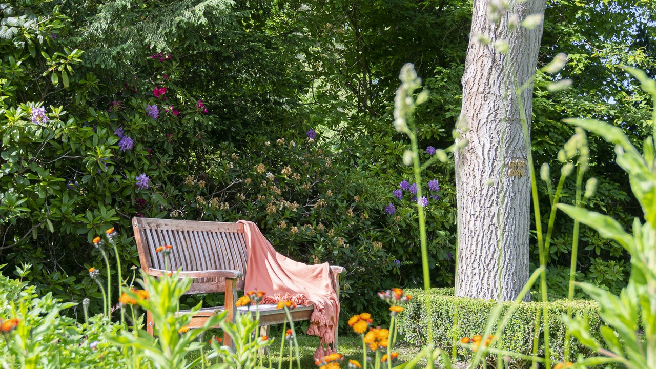 Photo of Outdoor in Oeverdiek