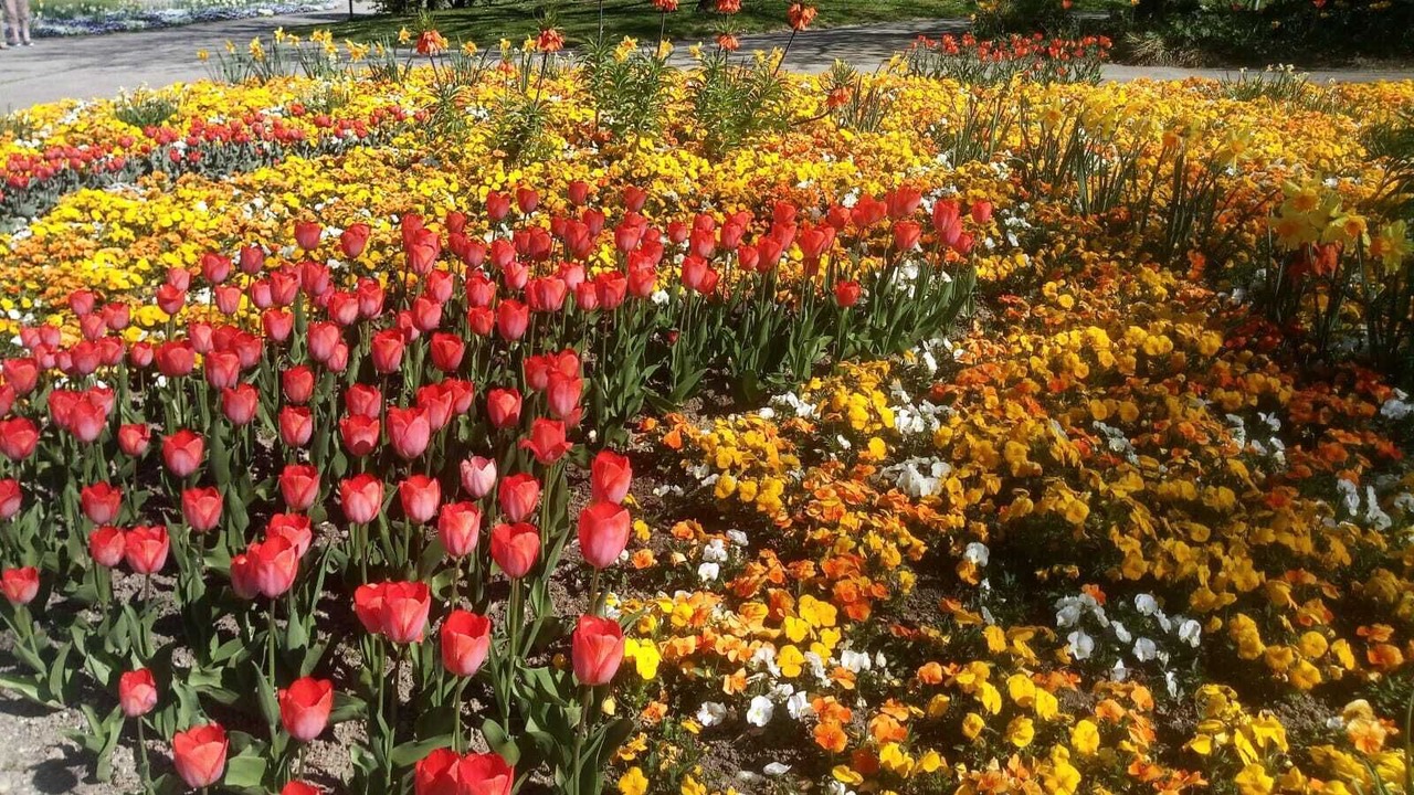 Photo of Outdoor in Wurding