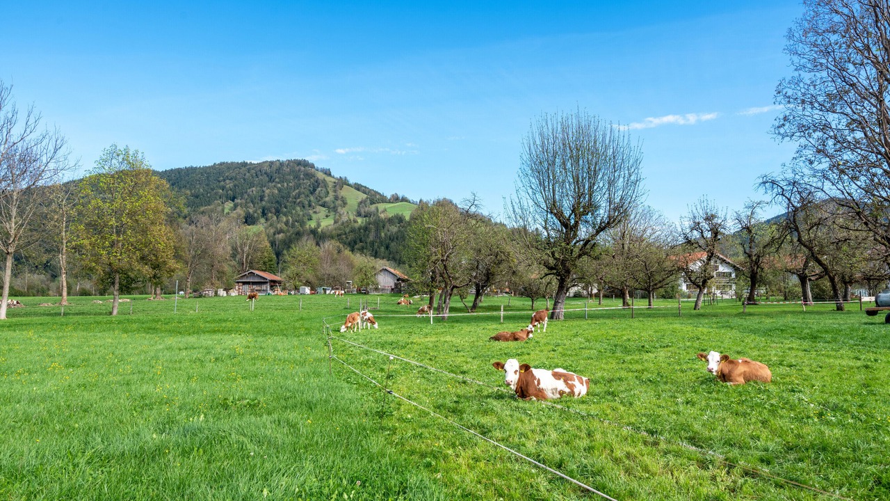 Photo of Others in Gaißach