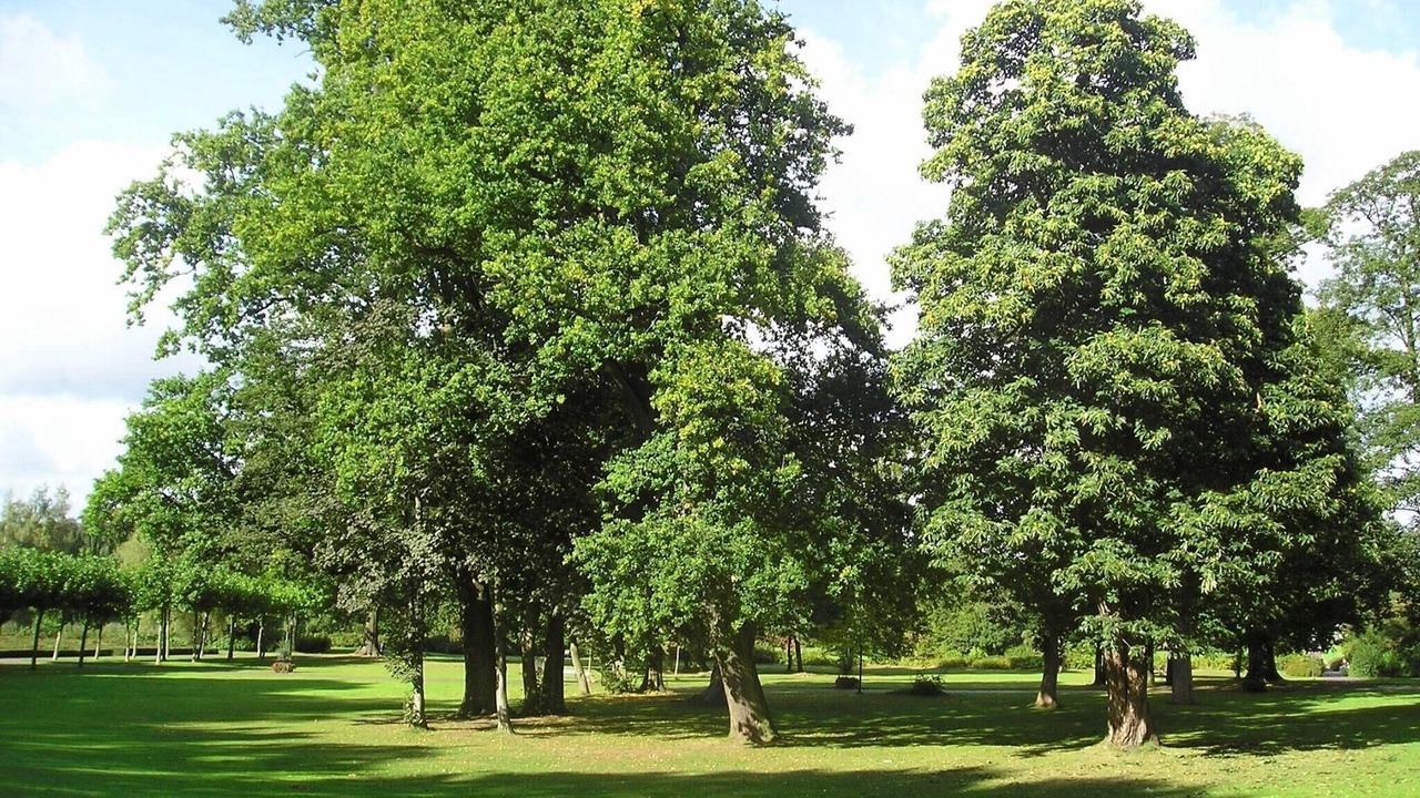 Photo of Others in Ferienpark Gut Langen