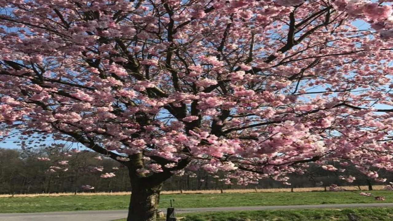 Photo of Others in Ferienpark Gut Langen