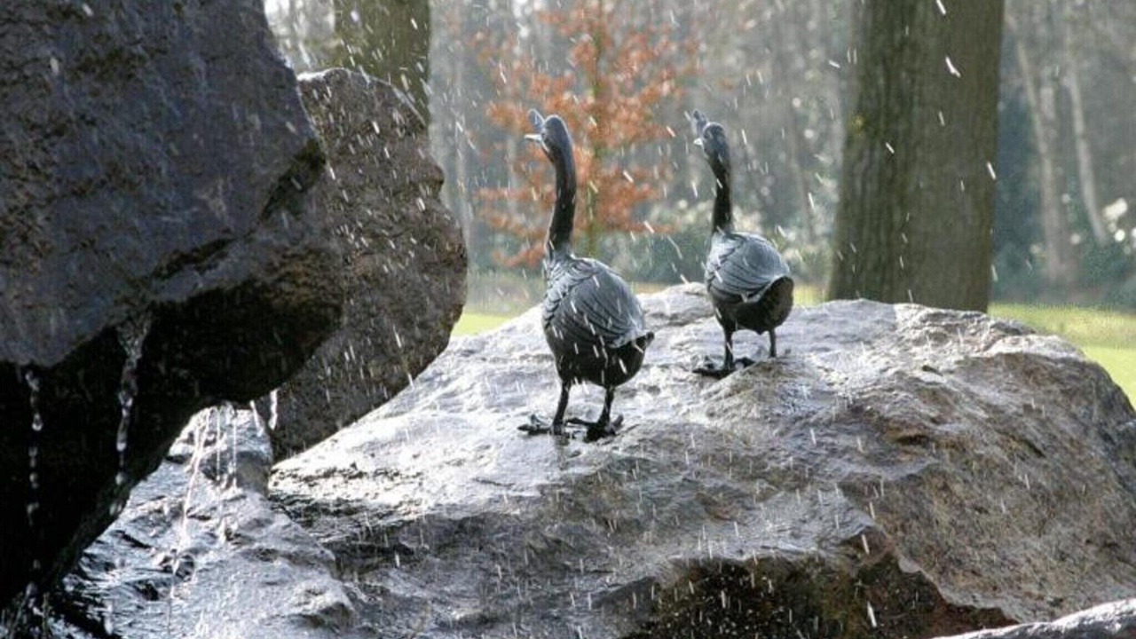Photo of Others in Ferienpark Gut Langen