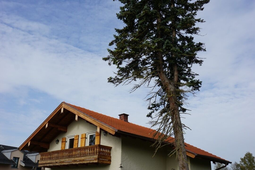Photo of Outdoor in Schechen
