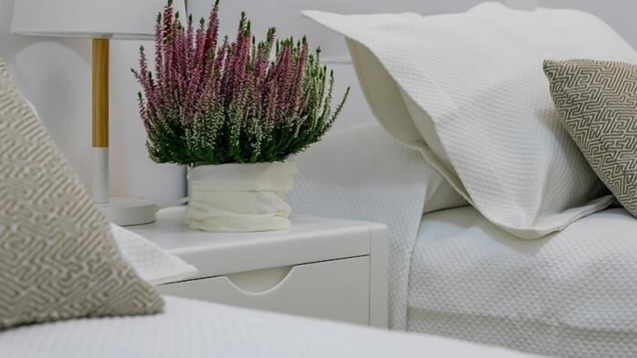 Photo of Bedroom in Goya