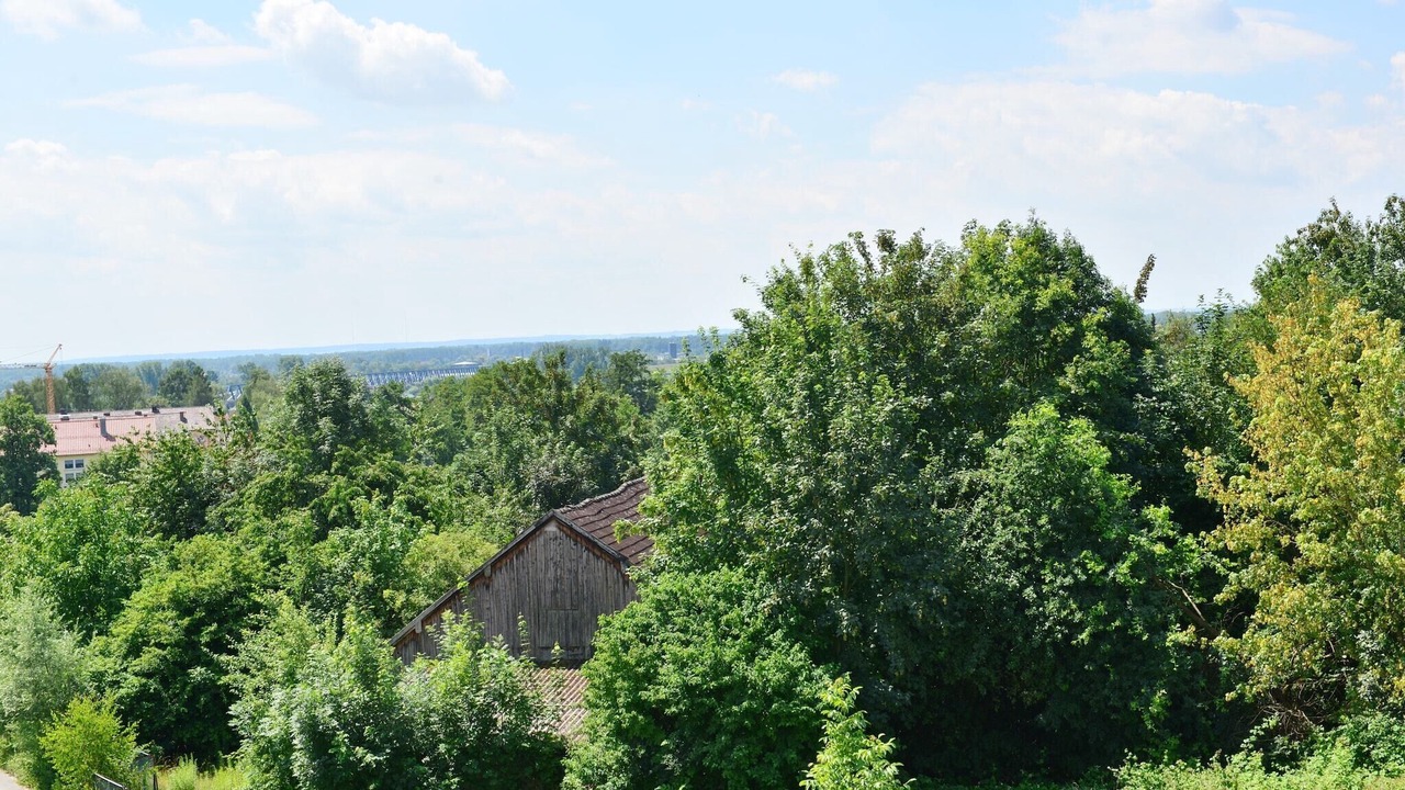 Photo of Others in Deggendorf