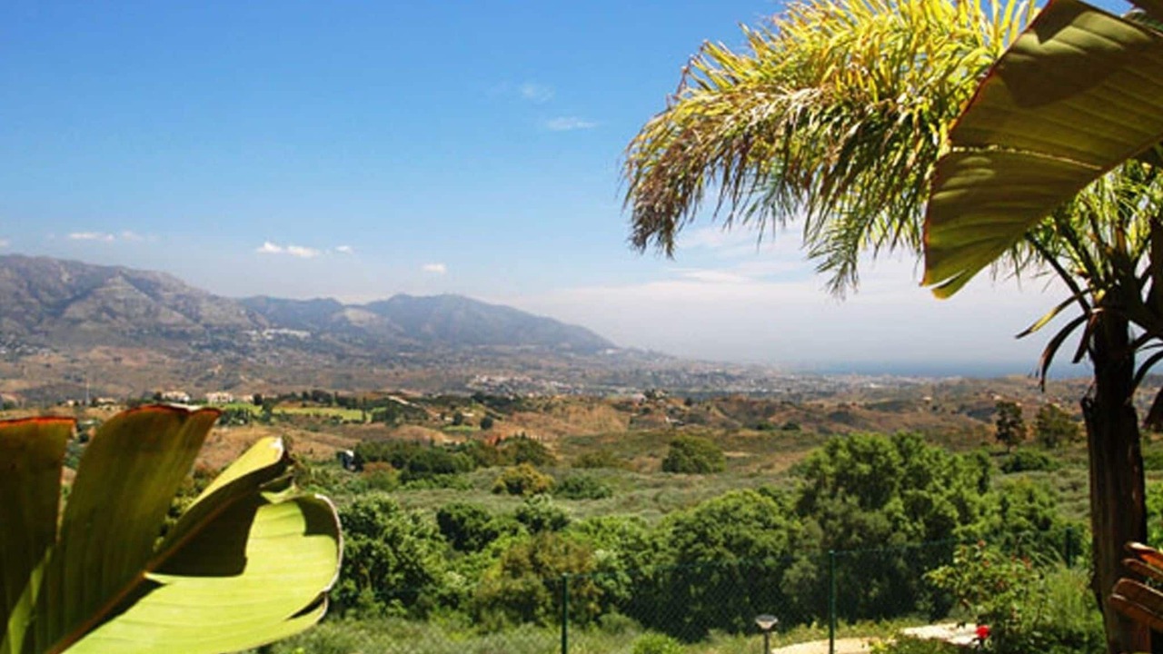 Photo of Outdoor in Ojen