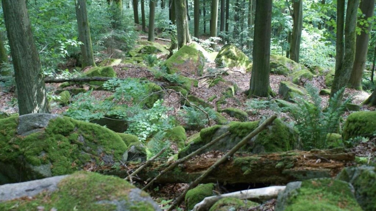 Photo of Others in Tannesberg
