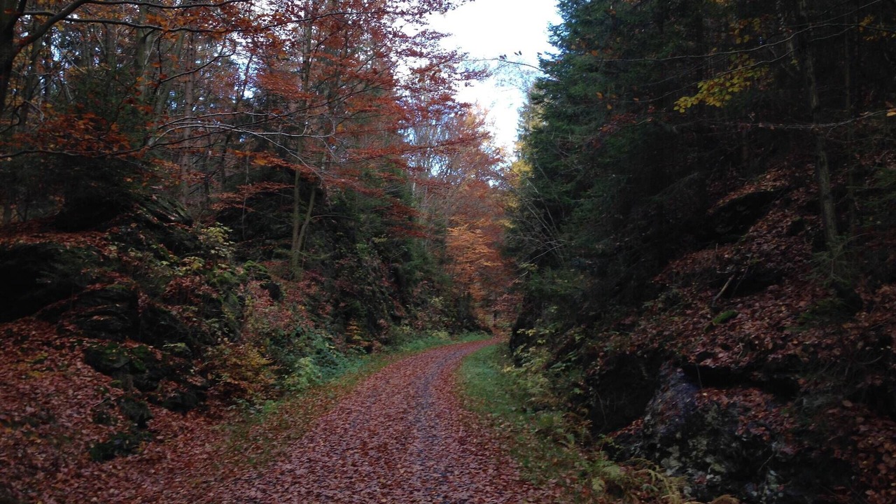 Photo of Others in Tannesberg