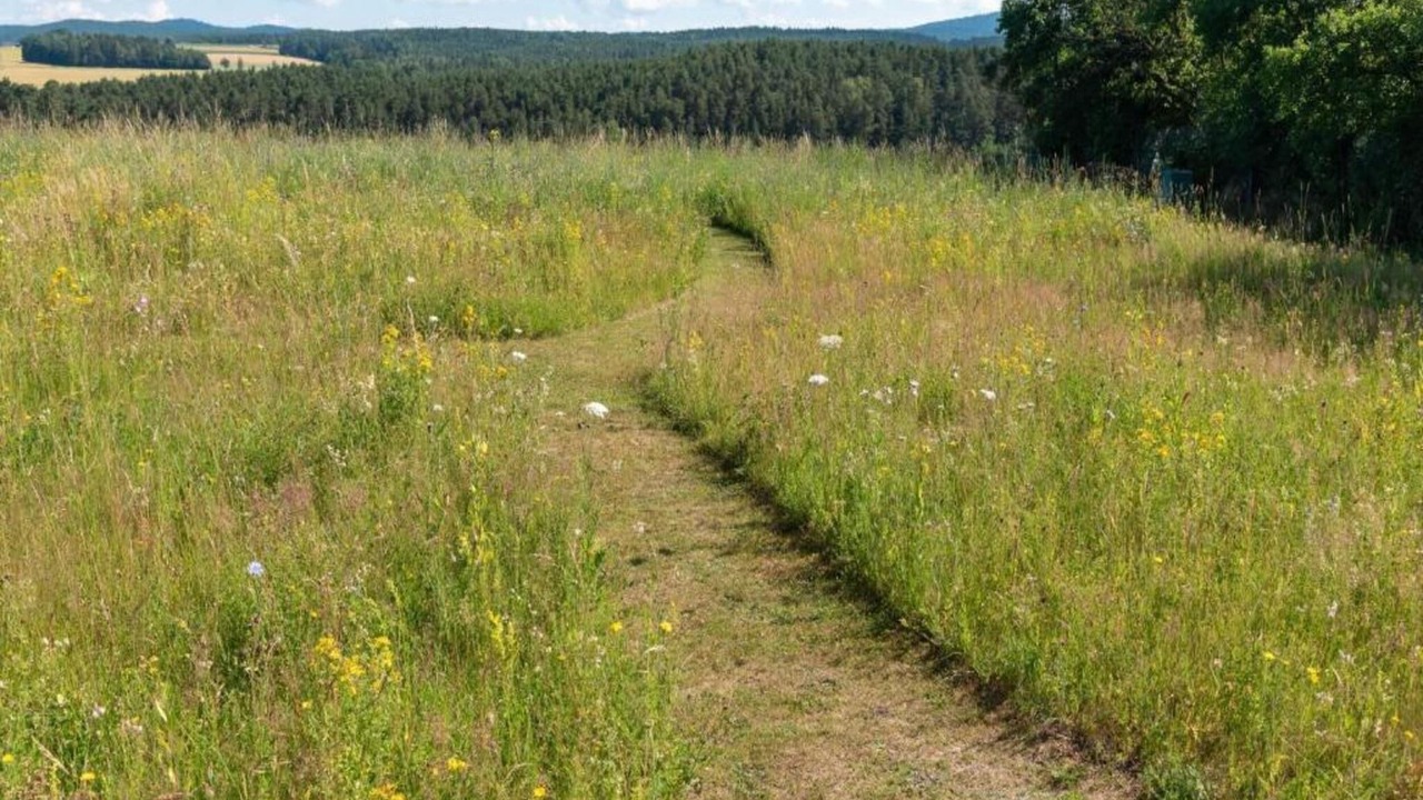 Photo of Others in Tannesberg