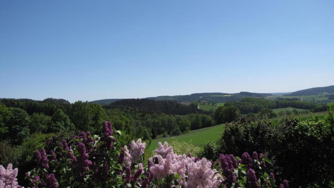 Photo of Others in Tannesberg