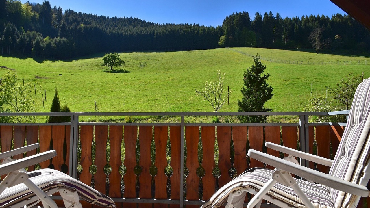 Photo of Patio Balcony in Hofstetten