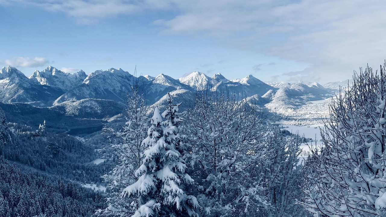Photo of Others in Hohenschwangau