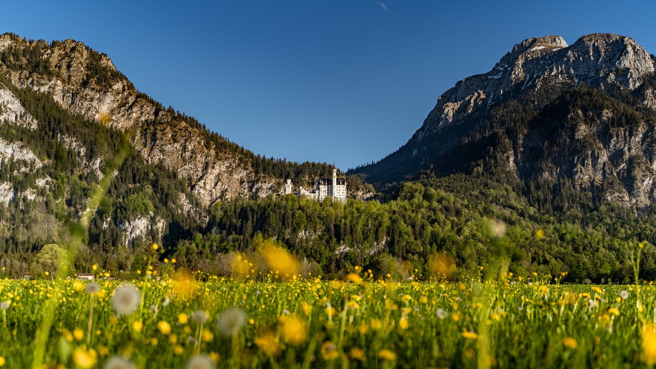 Photo of Others in Hohenschwangau