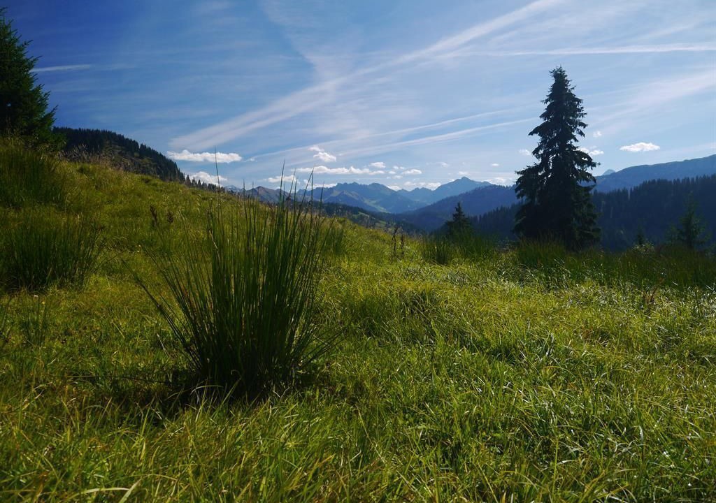 Photo of Others in Balderschwang