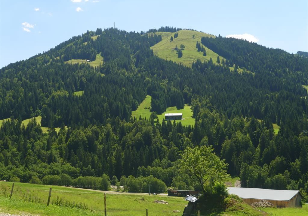 Photo of Others in Balderschwang