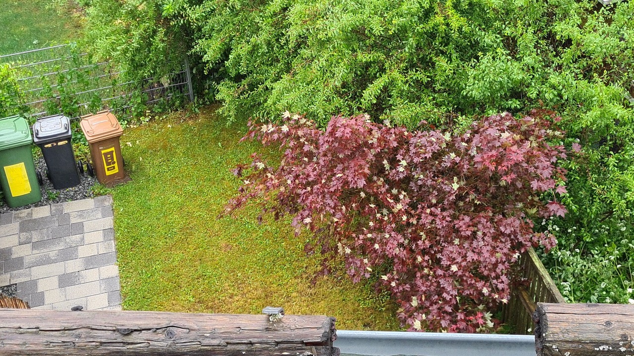 Photo of Outdoor in Weissenstadt