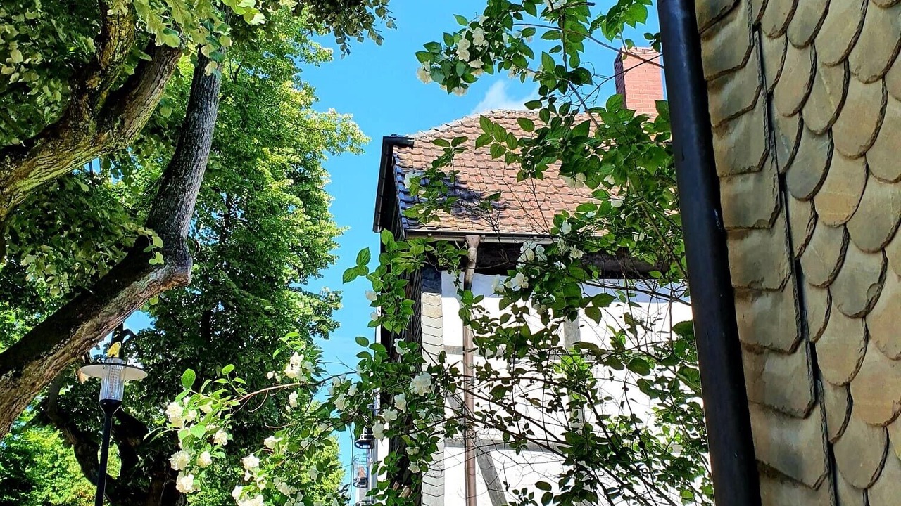 Photo of Outdoor in Neheim