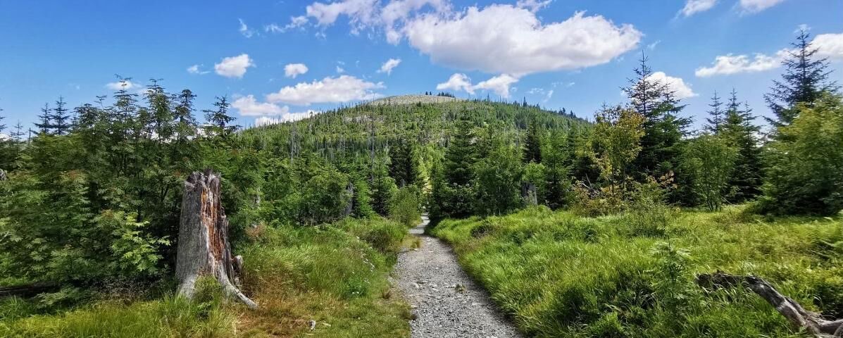 Photo of Outdoor in Finsterau