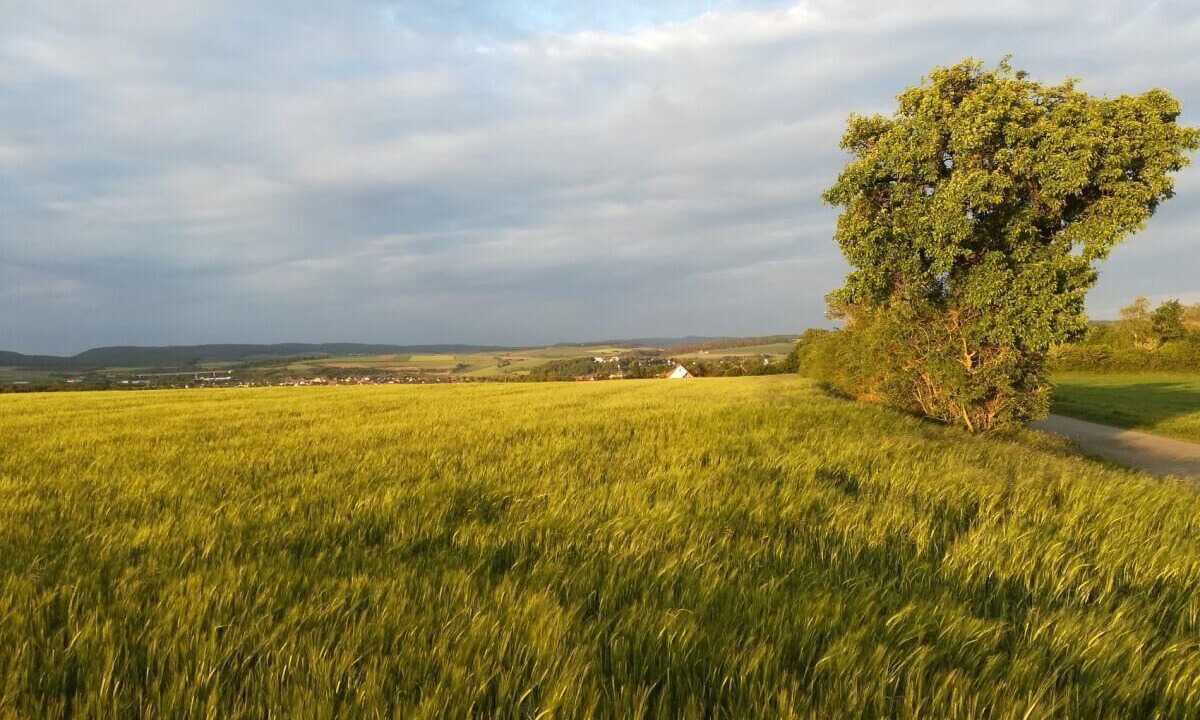 Photo of Others in Mellrichstadt