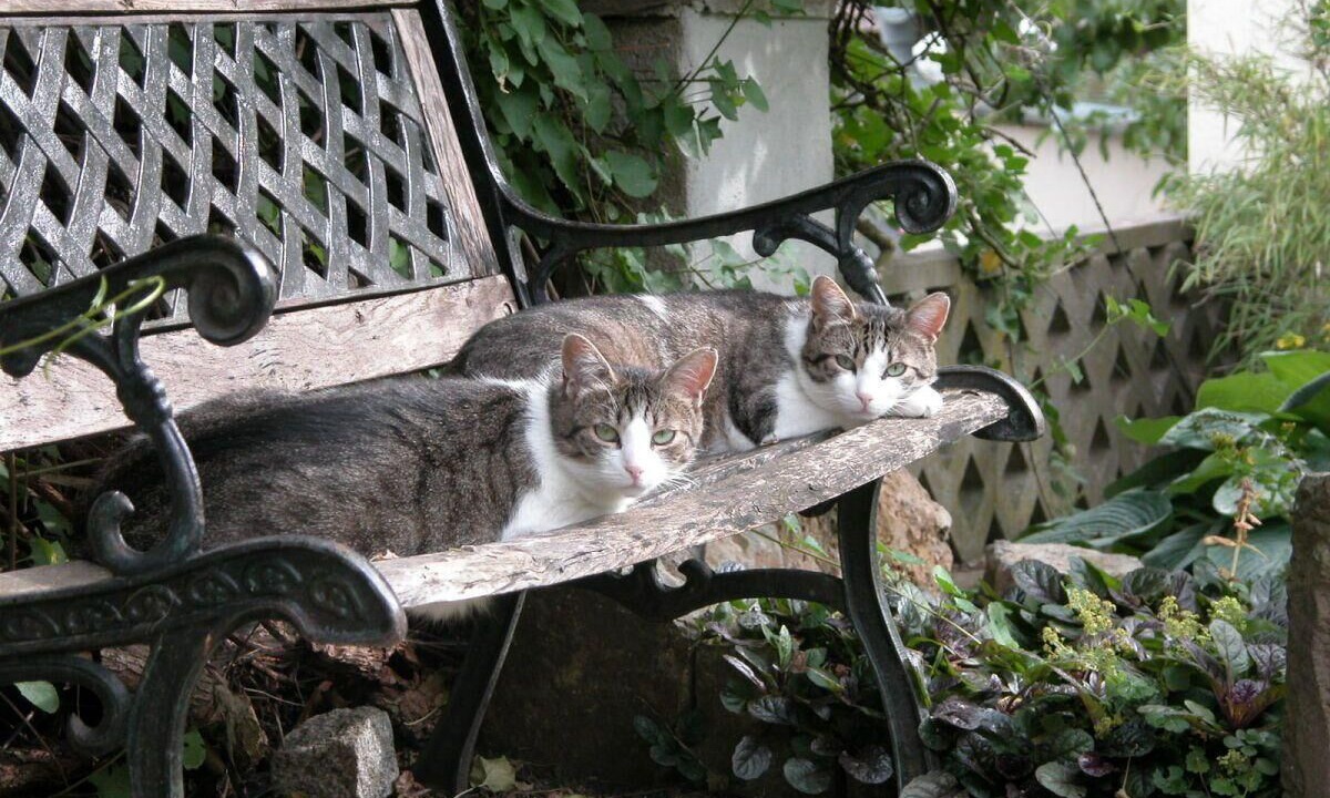 Photo of Outdoor in Volkach