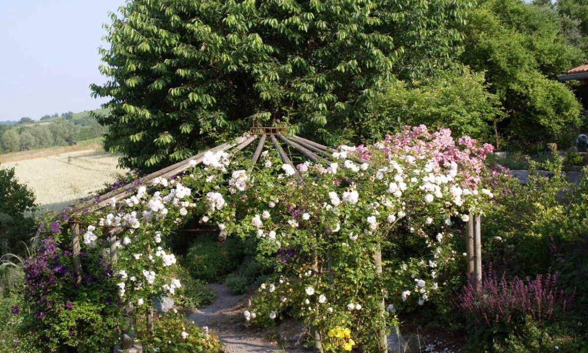 Photo of Outdoor in Volkach