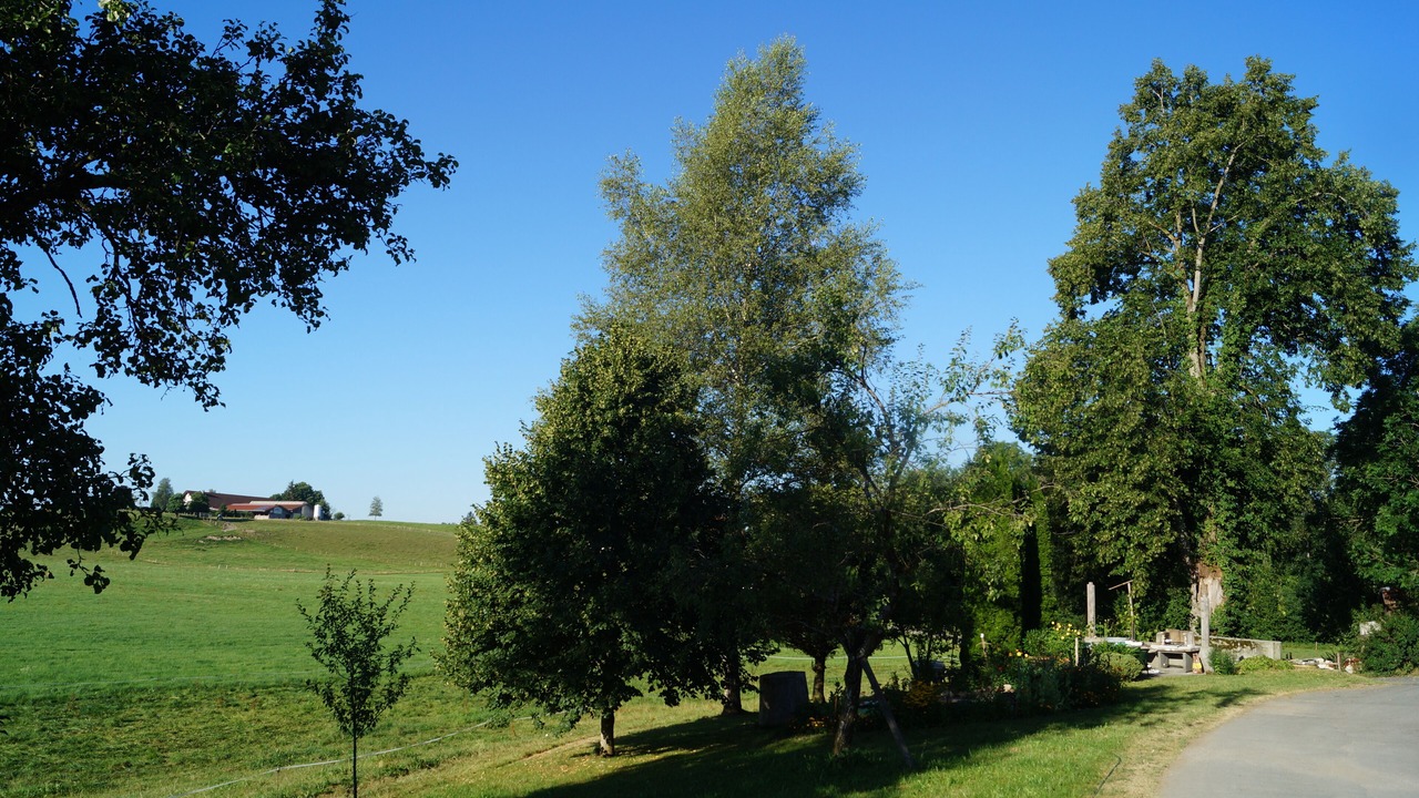 Photo of Others in Christazhofen