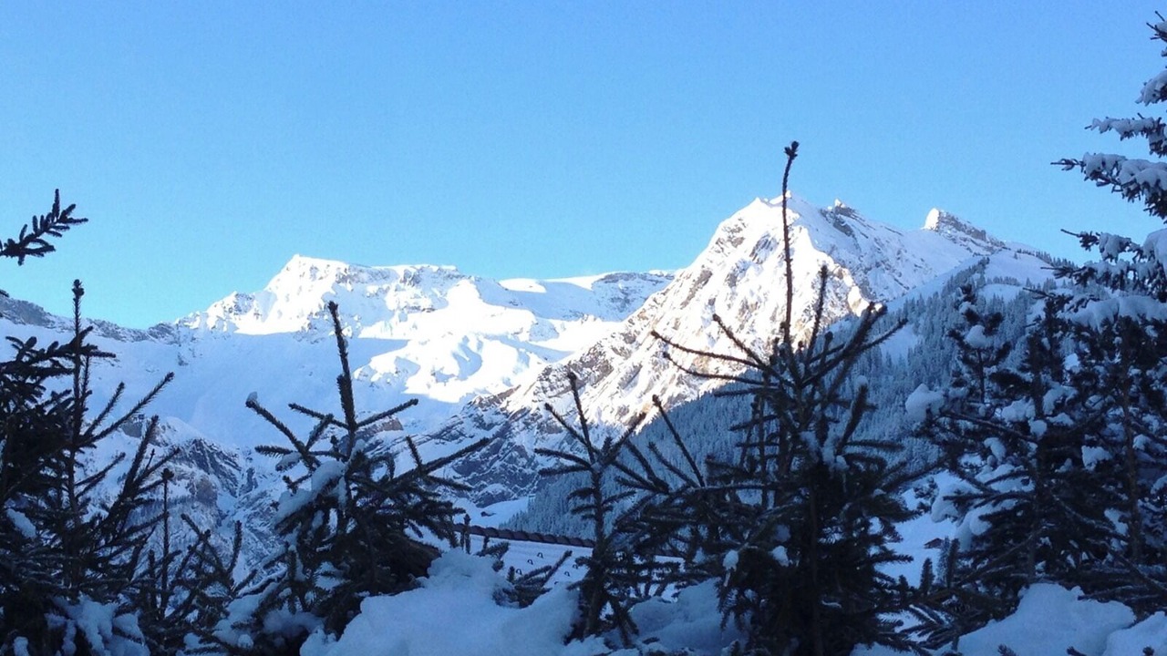 Photo of Outdoor in Adelboden