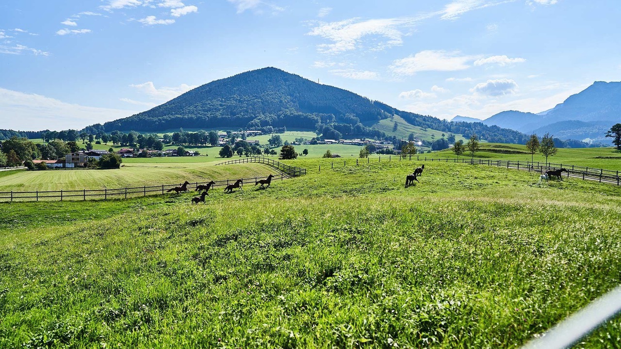 Photo of Others in Fischbachau