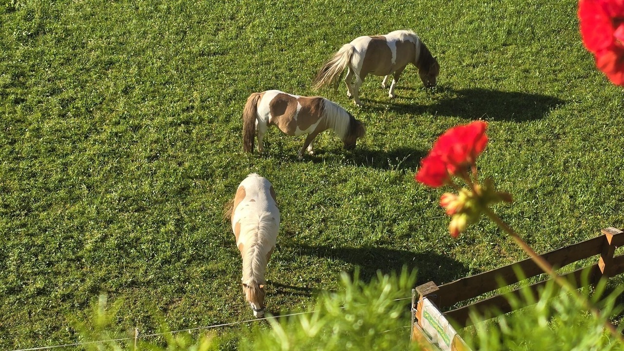 Photo of Others in Oberau Wildschonau