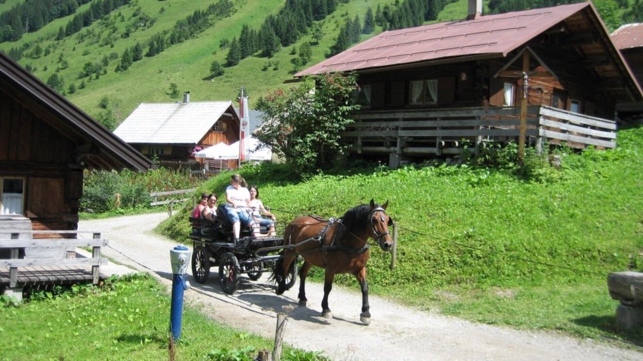 Photo of Outdoor in Horn