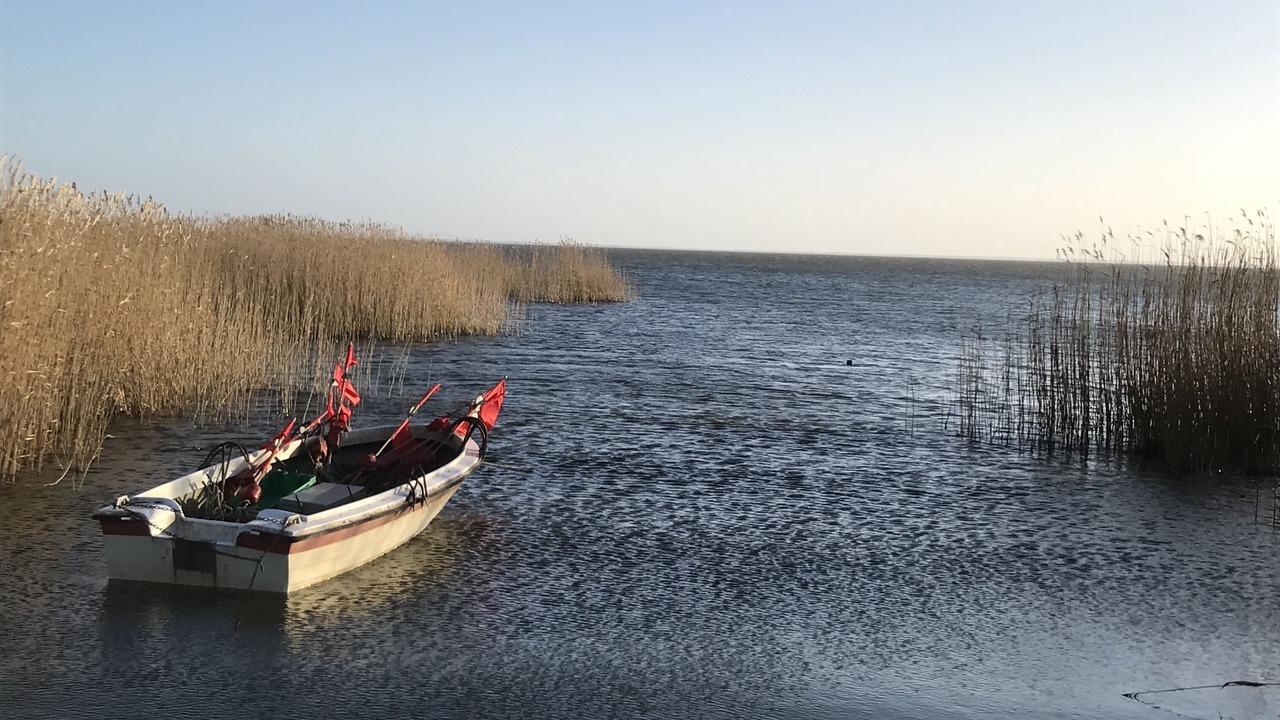 Photo of Others in Stolpe auf Usedom