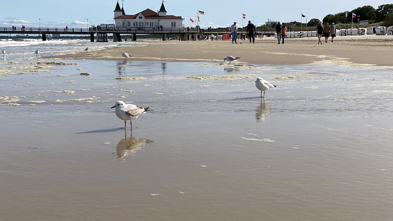 Photo of Others in Stolpe auf Usedom