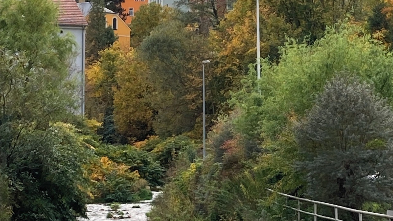 Photo of Others in Koenigstein